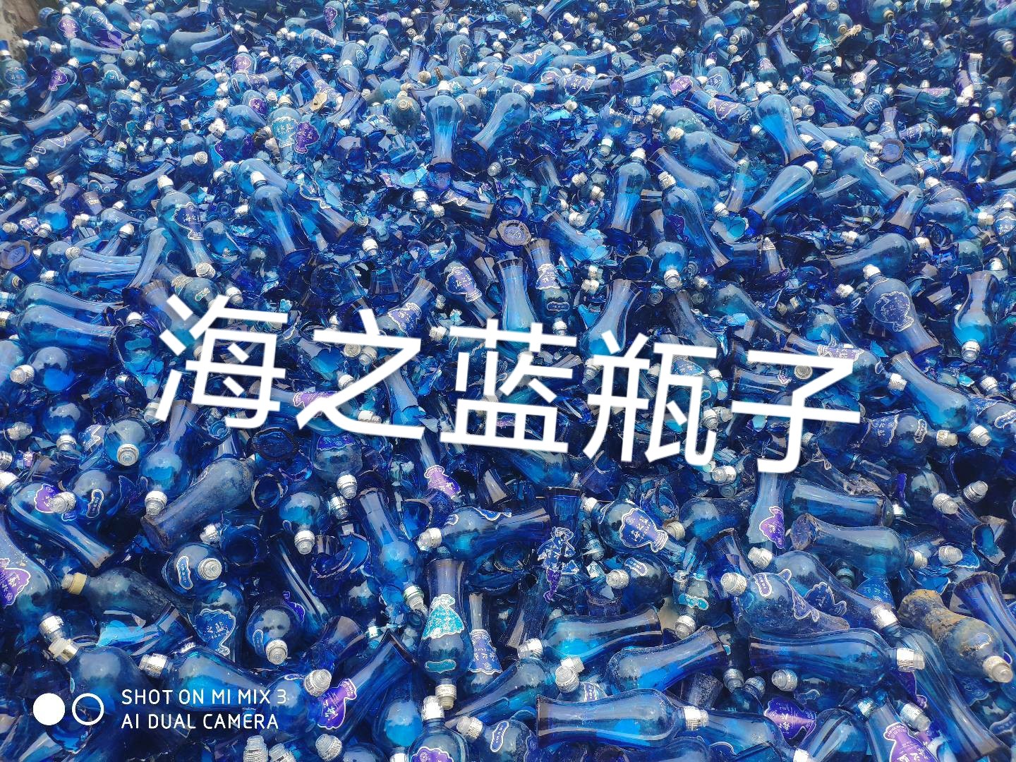 玄武区海之蓝瓶回收